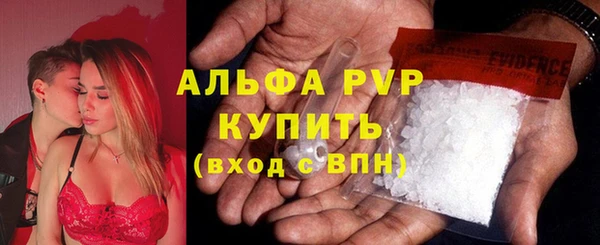 ГАЛЛЮЦИНОГЕННЫЕ ГРИБЫ Белокуриха