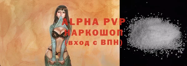ГАЛЛЮЦИНОГЕННЫЕ ГРИБЫ Белокуриха