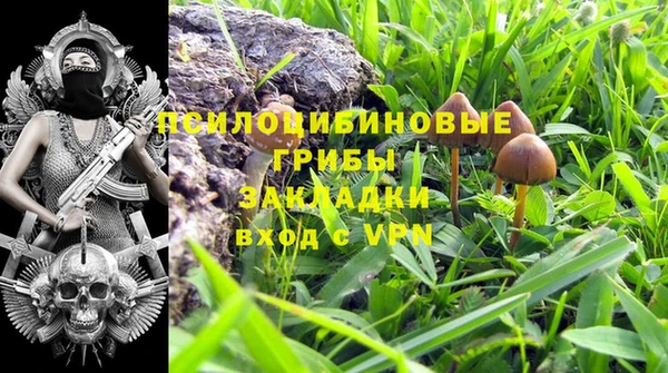 ешки Белоозёрский