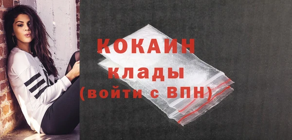 ГАЛЛЮЦИНОГЕННЫЕ ГРИБЫ Белокуриха
