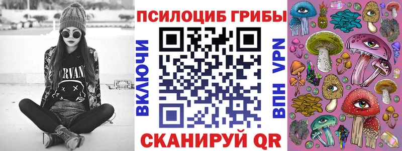 Галлюциногенные грибы Psilocybine cubensis  Купить  Киржач 